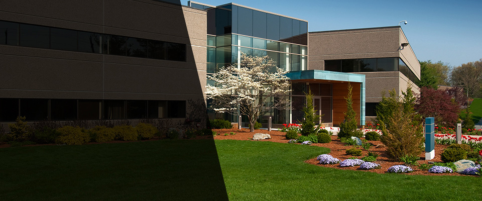 Alamosa Landscapers