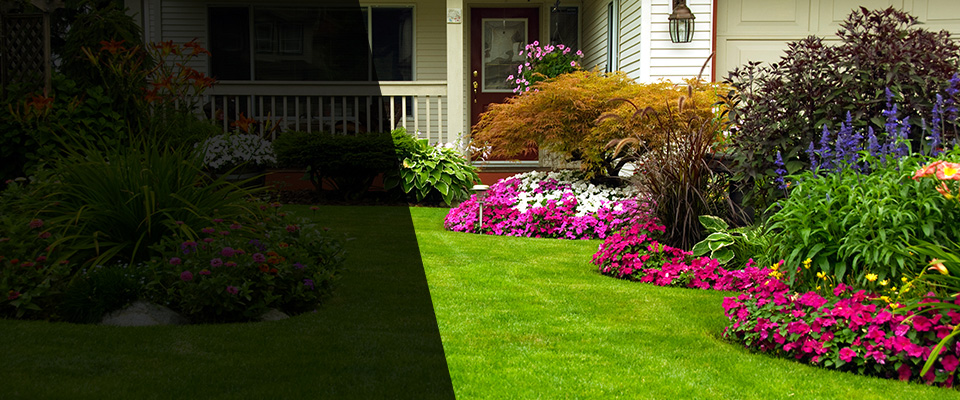 Alamosa Landscapers