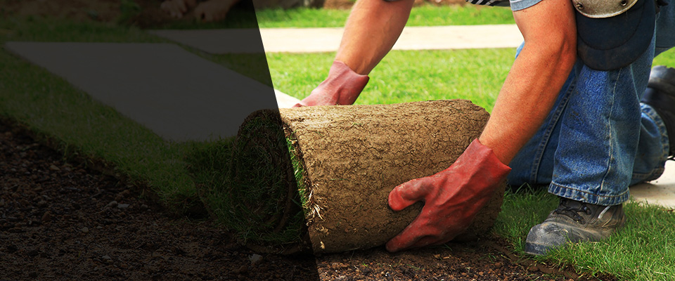 Alamosa Landscapers